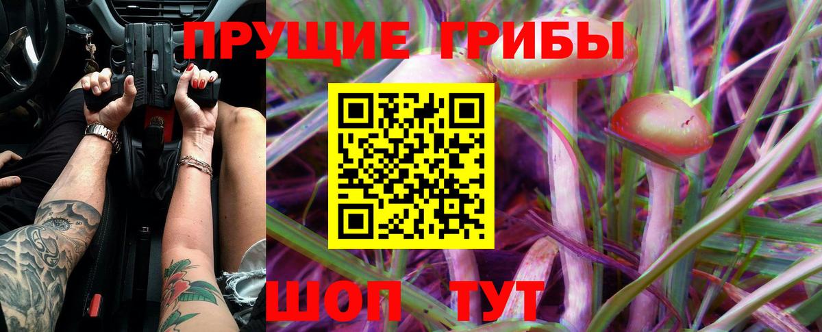 Тимашёвск  Псилоцибиновые грибы ЛСД  Псилоцибиновые грибы MAGIC MUSHROOMS  Вход с VPN 